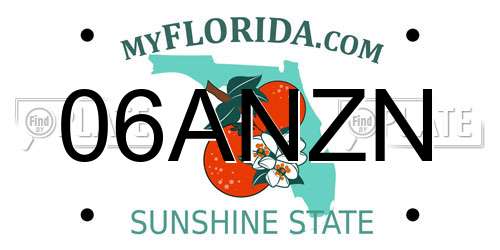 06ANZN Florida License Plate