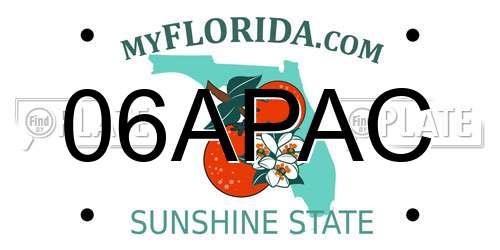 06APAC Florida License Plate