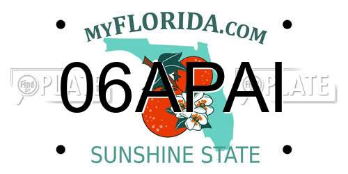 06APAI Florida License Plate