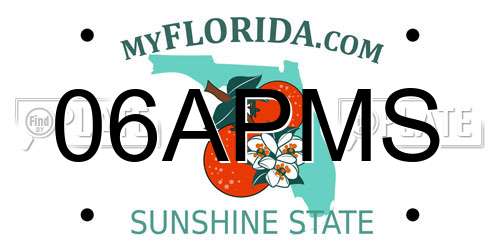 06APMS Florida License Plate