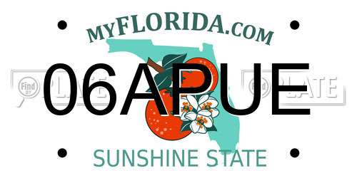 06APUE Florida License Plate