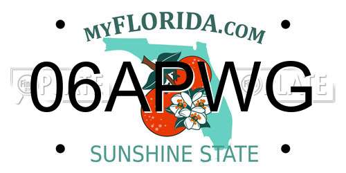 06APWG Florida License Plate