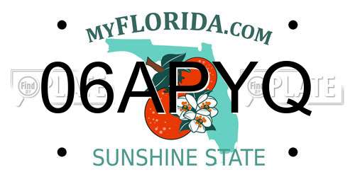 06APYQ Florida License Plate
