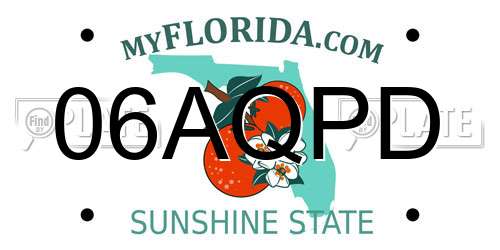 06AQPD Florida License Plate