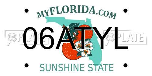 06ATYL Florida License Plate