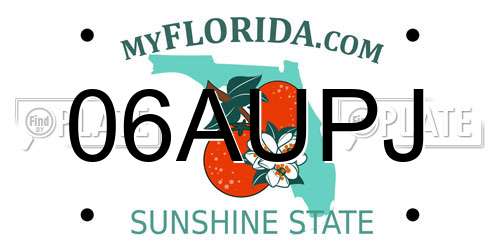06AUPJ Florida License Plate