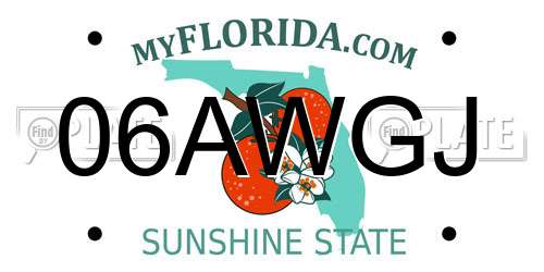 06AWGJ Florida License Plate