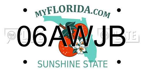 06AWJB Florida License Plate