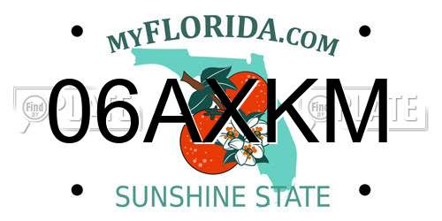 06AXKM Florida License Plate