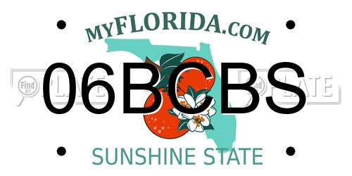 06BCBS Florida License Plate
