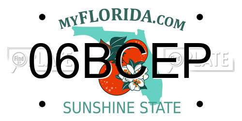 06BCEP Florida License Plate