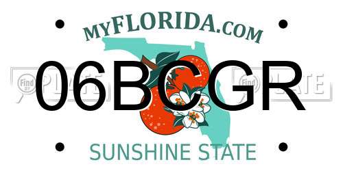 06BCGR Florida License Plate