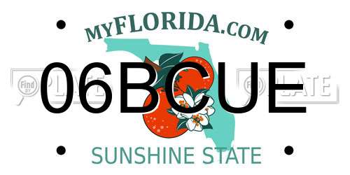 06BCUE Florida License Plate