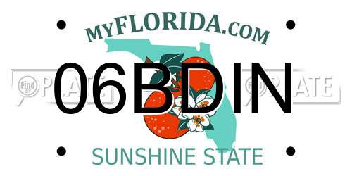 06BDIN Florida License Plate