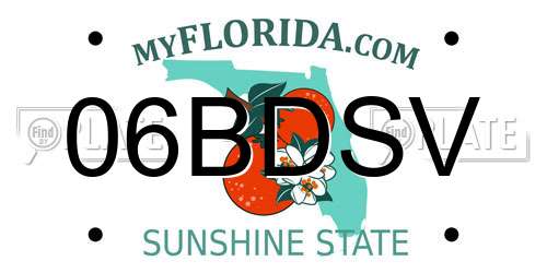 06BDSV Florida License Plate