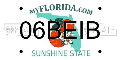 06BEIB Florida License Plate