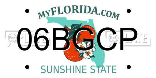 06BGCP Florida License Plate