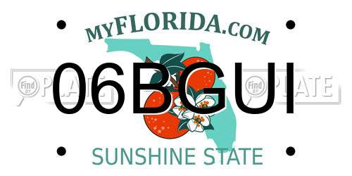 06BGUI Florida License Plate