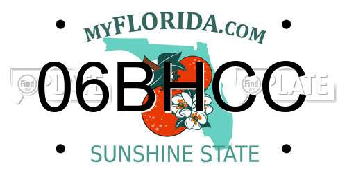 06BHCC Florida License Plate