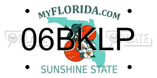 06BKLP Florida License Plate