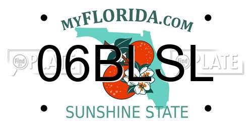 06BLSL Florida License Plate