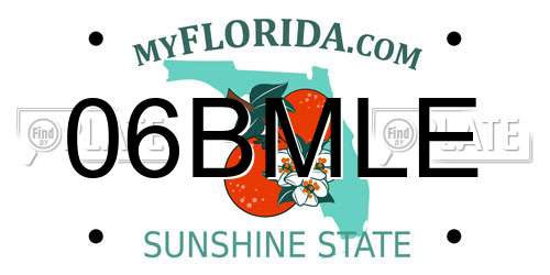 06BMLE Florida License Plate