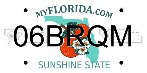 06BRQM Florida License Plate