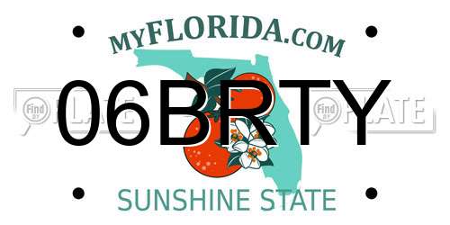 06BRTY Florida License Plate