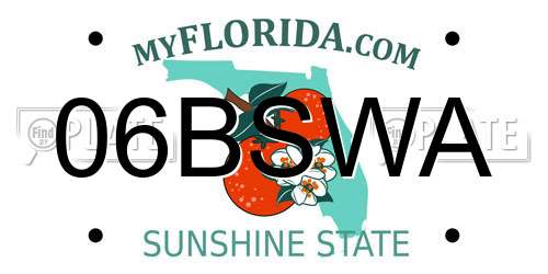 06BSWA Florida License Plate
