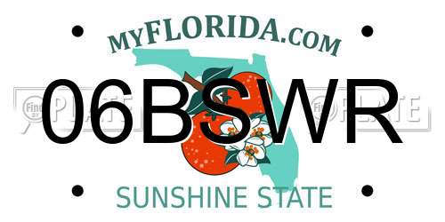 06BSWR Florida License Plate