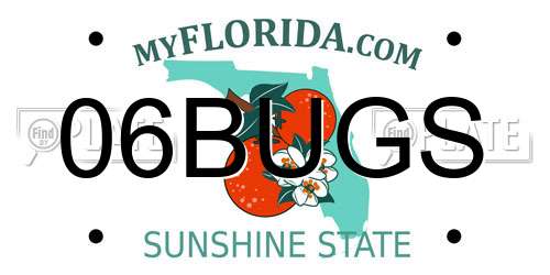 06BUGS Florida License Plate