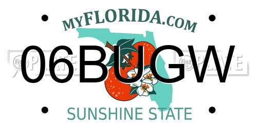 06BUGW Florida License Plate