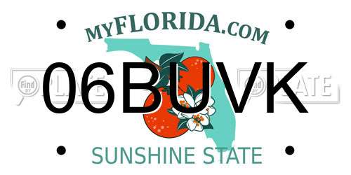 06BUVK Florida License Plate