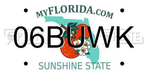 06BUWK Florida License Plate