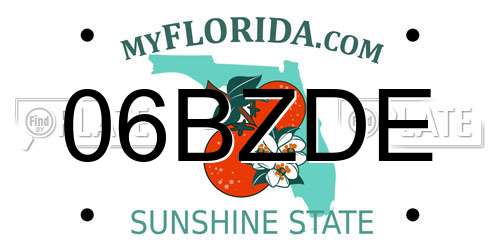 06BZDE Florida License Plate