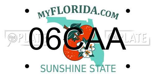 06CAA Florida License Plate
