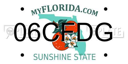06CFDG Florida License Plate