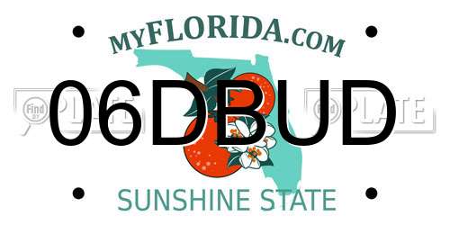 06DBUD Florida License Plate