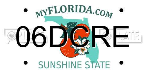 06DCRE Florida License Plate