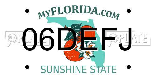 06DEFJ Florida License Plate