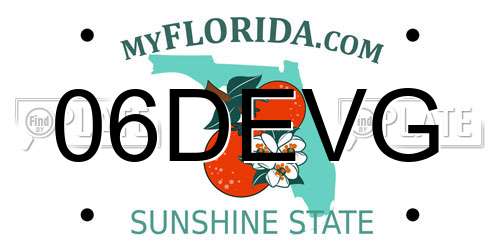 06DEVG Florida License Plate
