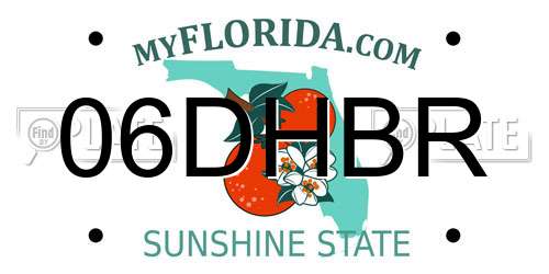 06DHBR Florida License Plate