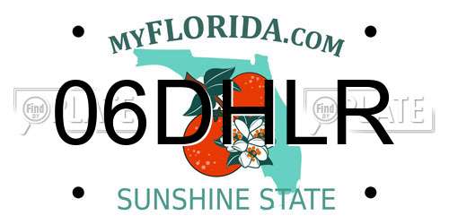 06DHLR Florida License Plate