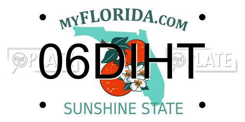 06DIHT Florida License Plate