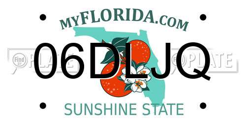 06DLJQ Florida License Plate