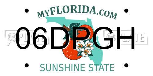 06DPGH Florida License Plate