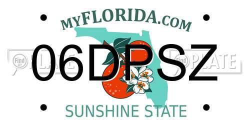 06DPSZ Florida License Plate