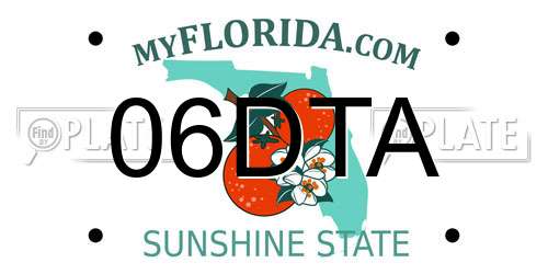 06DTA Florida License Plate