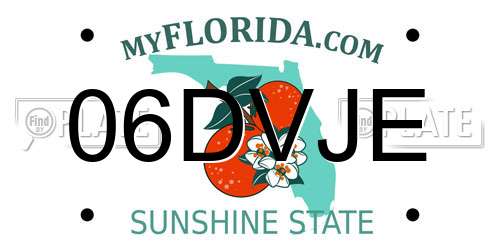 06DVJE Florida License Plate