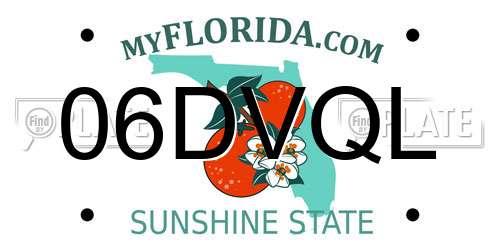 06DVQL Florida License Plate